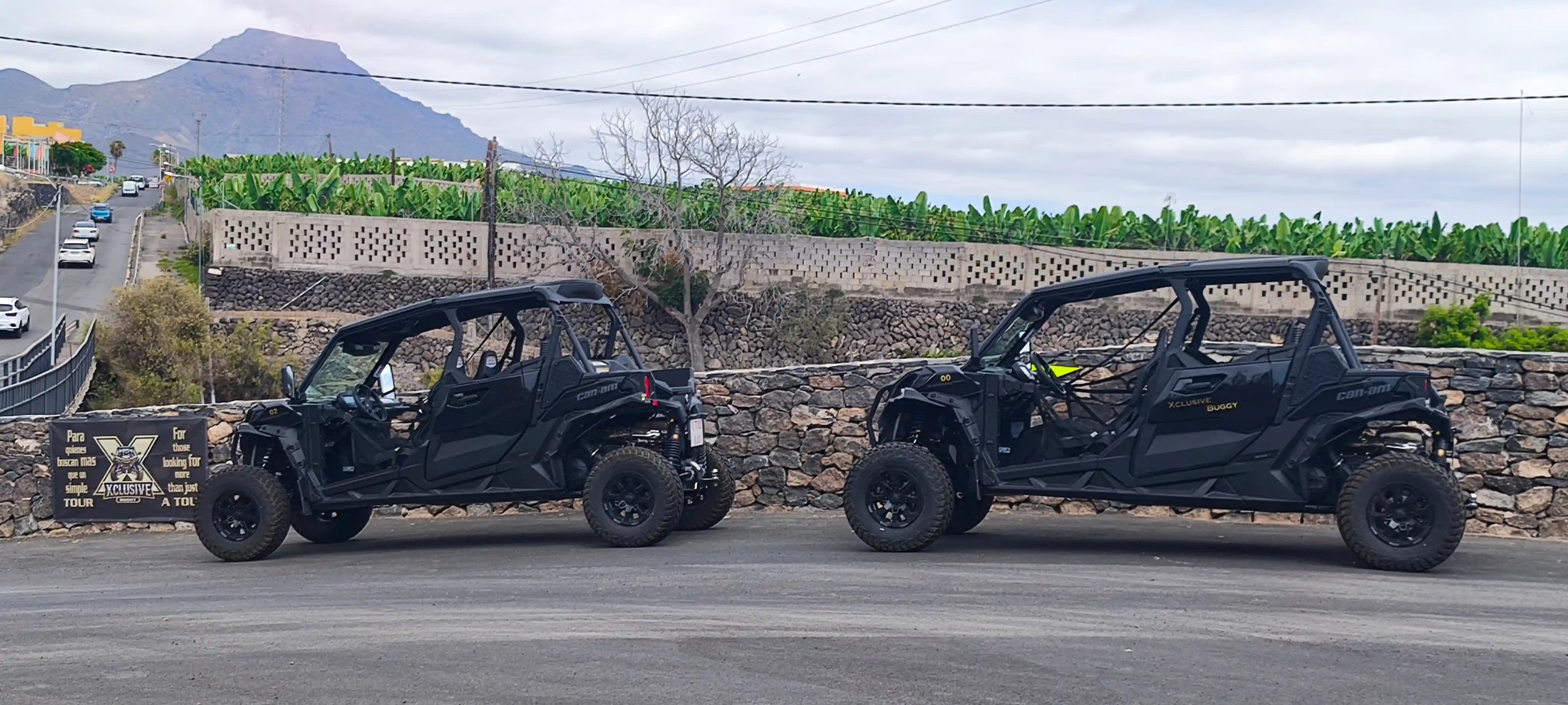 Tour en buggy Can-Am por Tenerife, foto 13