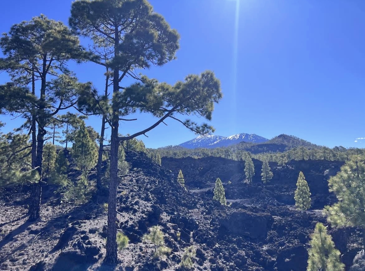 Tour en buggy Can-Am por Tenerife, foto 18